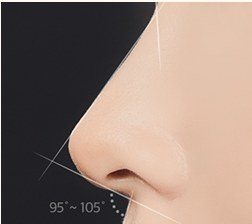 코 각도 및 라인 디자인 일러스트