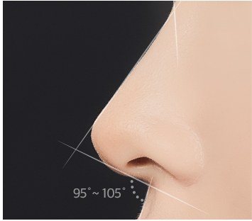 코 수술 단계 1 상담 및 디자인 일러스트