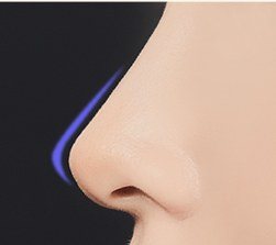 완성된 콧대 라인 일러스트